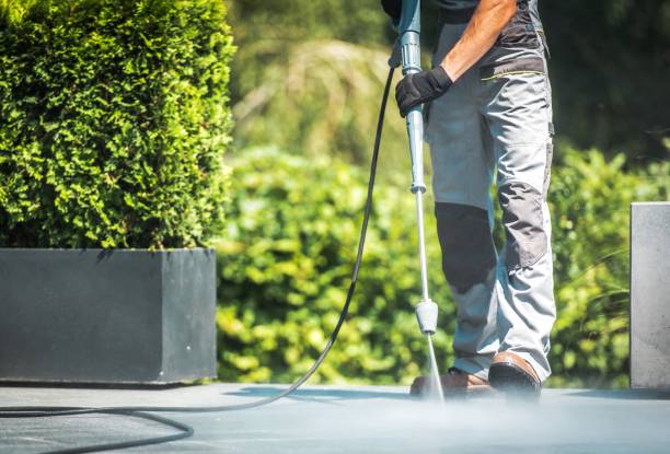 Best Warehouse Cleaning  in White House Station, NJ